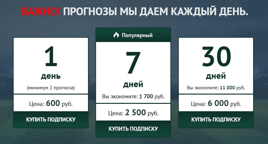 Стоимость услуг Sport-bet24