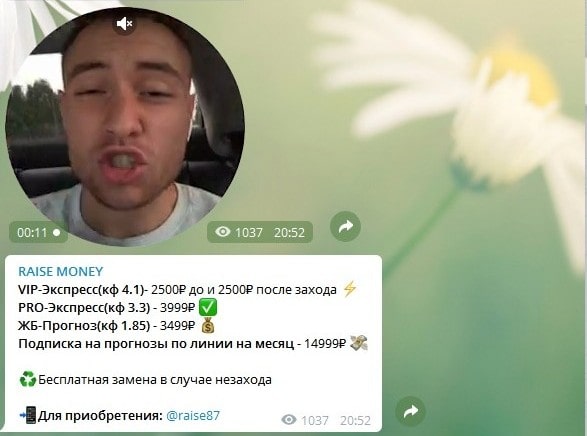 Стоимость прогнозов в Raise Money