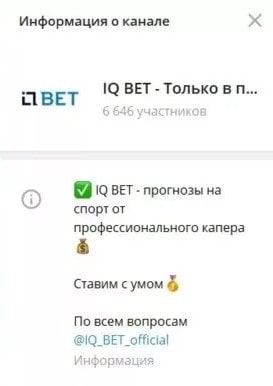 IQ Bet в Telegram