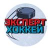 Хоккейный эксперт