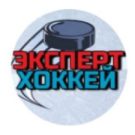 Хоккейный эксперт