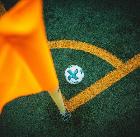 Как можно использовать ставки на «1Х»